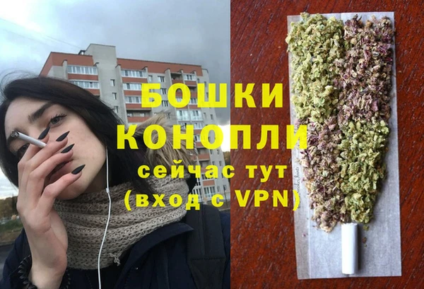 стафф Гусь-Хрустальный