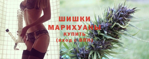 ALPHA PVP Гусев