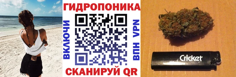 Купить  Красноуральск  Конопля индика 